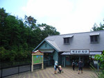 (1)